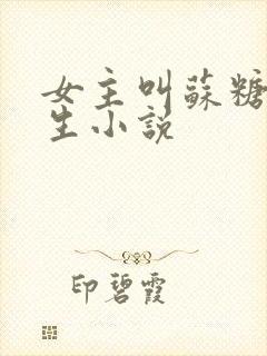 女主叫苏糖的重生小说