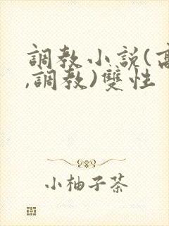 调教小说(高h,调教)双性