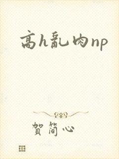 高h乱肉np