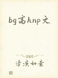 bg高hnp文