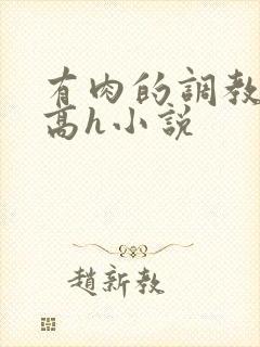 有肉的调教np高h小说