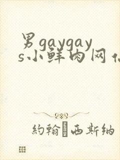 男gaygays小鲜肉网站
