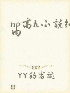 np高h小说纯肉封面