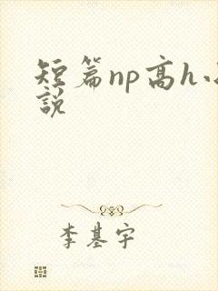 短篇np高h小说