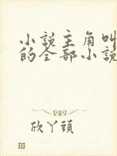 小说主角叫洛天的全部小说