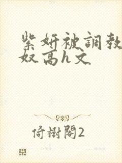 紫妍被调教成肉奴高h文封面