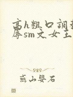 高h粗口调教羞辱sm文女王动画