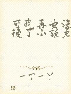 可我再也没有以后了小说免费阅读