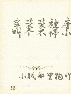 宁荣荣被唐三桶叫个不停小说封面