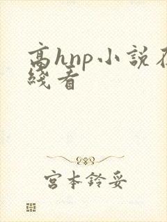 高hnp小说在线看
