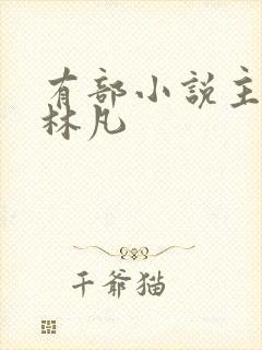 有部小说主角叫林凡