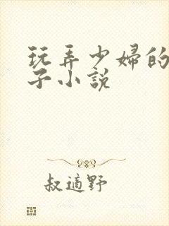 玩弄少妇的大奶子小说