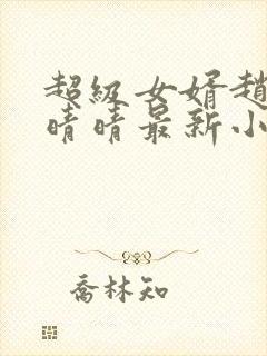 超级女婿赵旭李晴晴最新小说封面