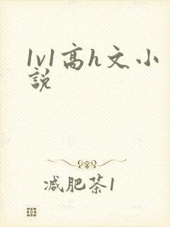 1v1高h文小说
