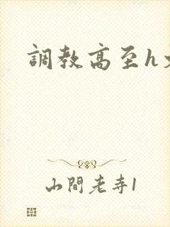 调教高至h文