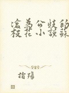 沧为公歧的清纯校花小说苏软小说封面