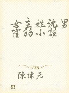 女主姓沈男主姓霍的小说