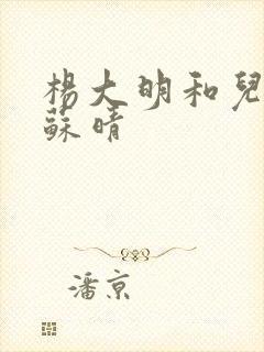 杨大明和儿媳妇苏晴