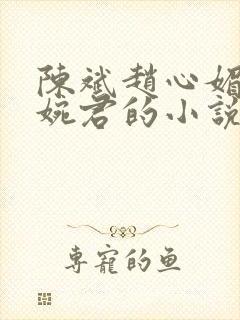 陈斌赵心媚和高婉君的小说免费阅读封面