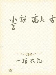 小说 高h 古言