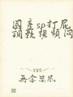 国产sp打屁股调教视频网站