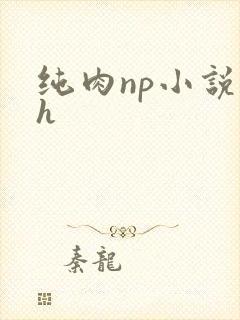 纯肉np小说高h
