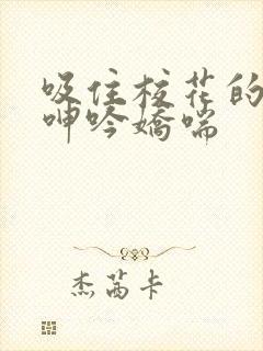 吸住校花的奶头呻吟娇喘封面