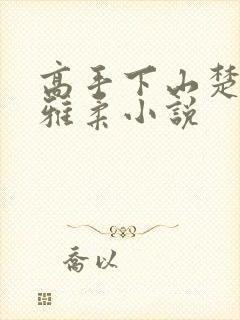 高手下山楚南秦雅柔小说
