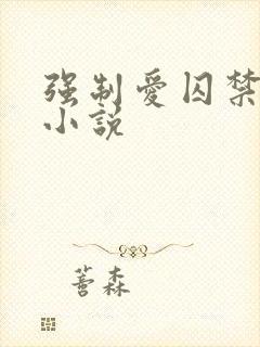 强制爱囚禁肉h小说