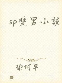 sp双男小说封面
