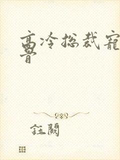 高冷总裁宠妻入骨