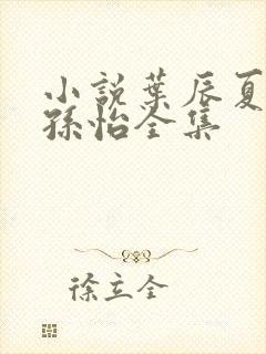 小说叶辰夏若雪孙怡全集