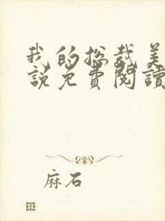 我的总裁美母小说免费阅读封面