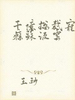 千亿总裁宠妻上瘾苏流云