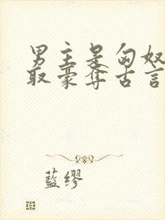 男主是匈奴的强取豪夺古言