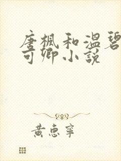 唐枫和温碧芸秦可卿小说