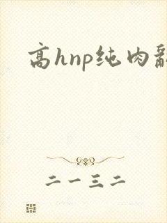 高hnp纯肉乱
