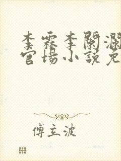 李霖李阑澜巅峰官场小说免费阅读