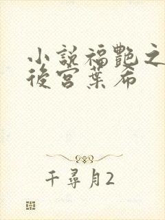 小说福艳之都市后宫叶希