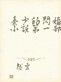 秦少的闪婚娇妻小说第一部