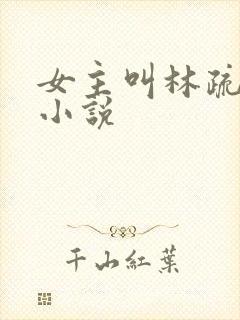 女主叫林疏月的小说