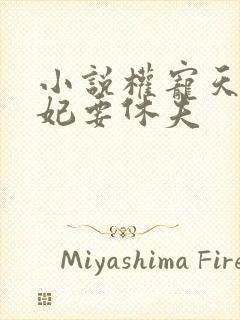 小说权宠天下医妃要休夫