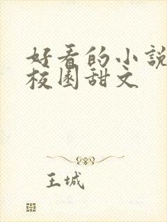 好看的小说推荐校园甜文封面