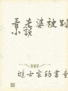 看老婆被别人操小说封面