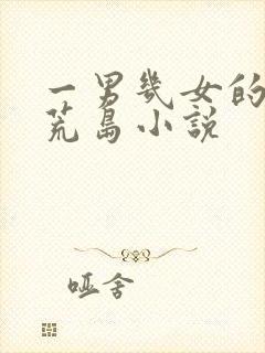 一男几女的超h荒岛小说