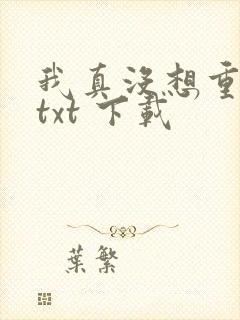 我真没想重生啊txt 下载