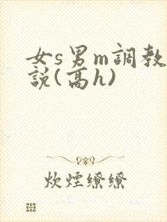 女s男m调教小说(高h)封面