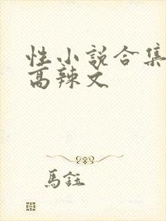 性小说合集中的高辣文
