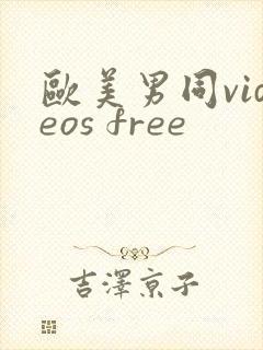 欧美男同videos free