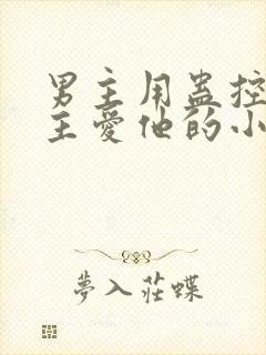 男主用蛊控制女主爱他的小说